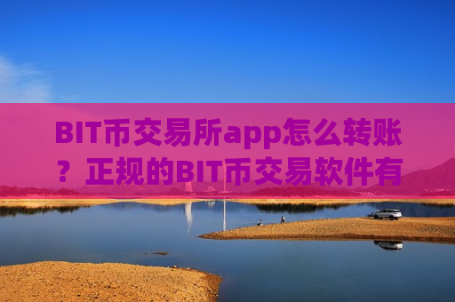 BIT币交易所app怎么转账？正规的BIT币交易软件有哪些