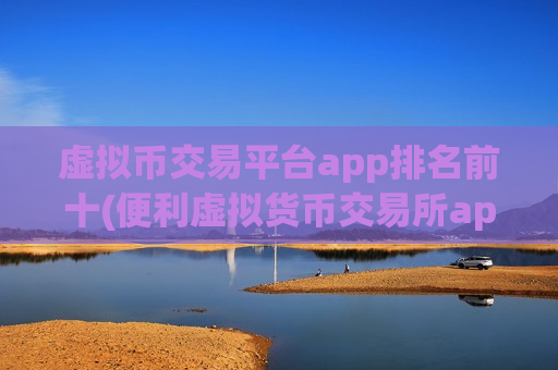 虚拟币交易平台app排名前十(便利虚拟货币交易所app)