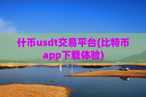 什币usdt交易平台(比特币app下载体验)