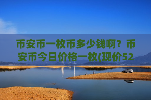 币安币一枚币多少钱啊？币安币今日价格一枚(现价5241.11元)