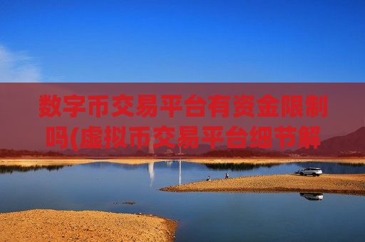 数字币交易平台有资金限制吗(虚拟币交易平台细节解析)