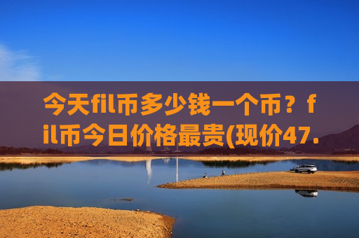 今天fil币多少钱一个币？fil币今日价格最贵(现价47.9339元)