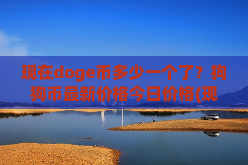 现在doge币多少一个了？狗狗币最新价格今日价格(现价2.9376元)