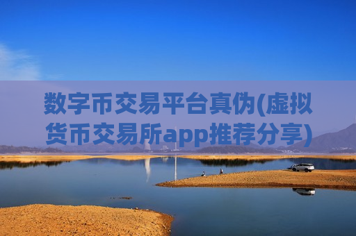 数字币交易平台真伪(虚拟货币交易所app推荐分享)