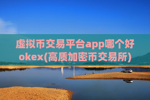虚拟币交易平台app哪个好okex(高质加密币交易所)