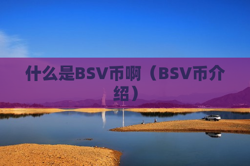 什么是BSV币啊（BSV币介绍）