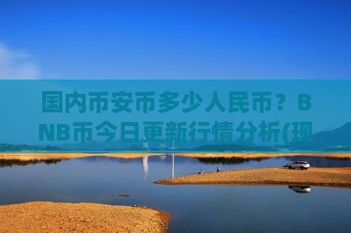 国内币安币多少人民币？BNB币今日更新行情分析(现价5256.12元)