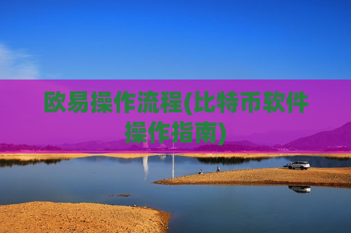 欧易操作流程(比特币软件操作指南)