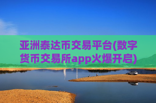 亚洲泰达币交易平台(数字货币交易所app火爆开启)