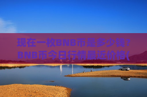 现在一枚BNB币是多少钱？BNB币今日行情最近价格(现价5266.91元)