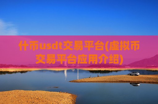 什币usdt交易平台(虚拟币交易平台应用介绍)