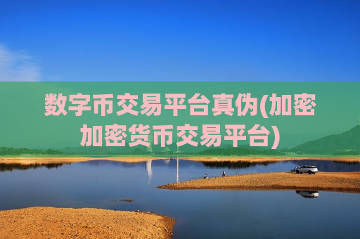 数字币交易平台真伪(加密加密货币交易平台)