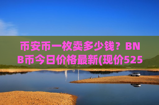 币安币一枚卖多少钱？BNB币今日价格最新(现价5258.09元)