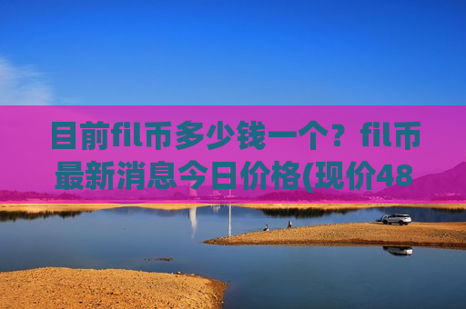 目前fil币多少钱一个？fil币最新消息今日价格(现价48.1393元)
