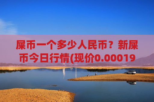 屎币一个多少人民币？新屎币今日行情(现价0.00019895元)