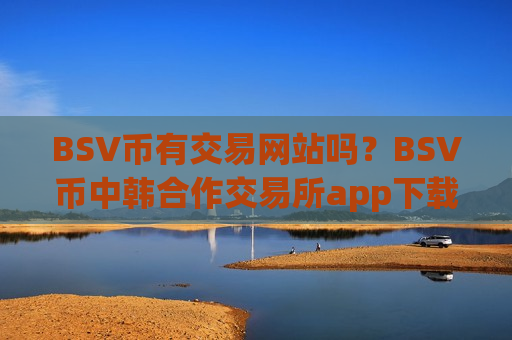 BSV币有交易网站吗？BSV币中韩合作交易所app下载