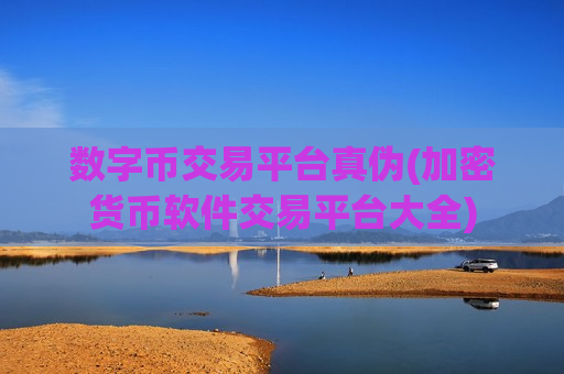 数字币交易平台真伪(加密货币软件交易平台大全)