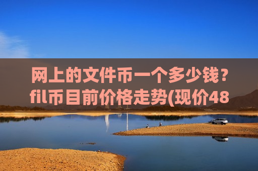 网上的文件币一个多少钱？fil币目前价格走势(现价48.0936元)