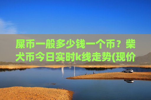 屎币一般多少钱一个币？柴犬币今日实时k线走势(现价0.00019931元)