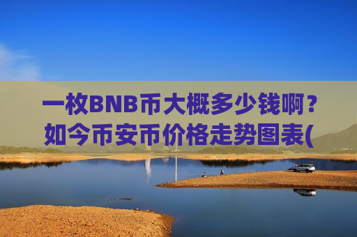 一枚BNB币大概多少钱啊？如今币安币价格走势图表(现价5254.89元)