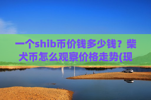 一个shib币价钱多少钱？柴犬币怎么观察价格走势(现价0.00019902元)