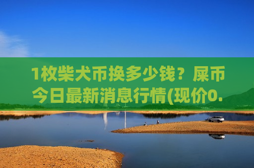 1枚柴犬币换多少钱？屎币今日最新消息行情(现价0.00019895元)