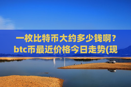 一枚比特币大约多少钱啊？btc币最近价格今日走势(现价775895.33元)