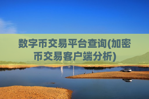 数字币交易平台查询(加密币交易客户端分析)