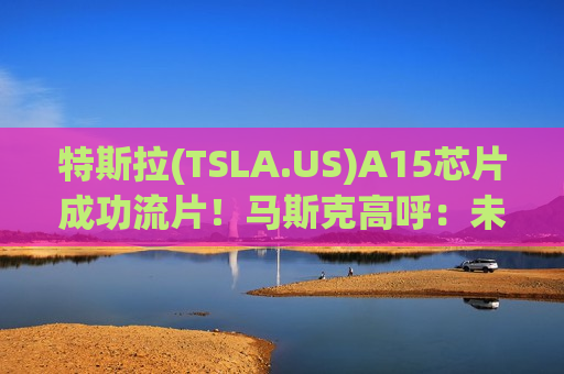 特斯拉(TSLA.US)A15芯片成功流片！马斯克高呼：未来将成为全球产量最高AI芯片之一