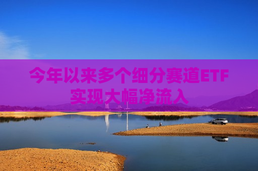 今年以来多个细分赛道ETF实现大幅净流入