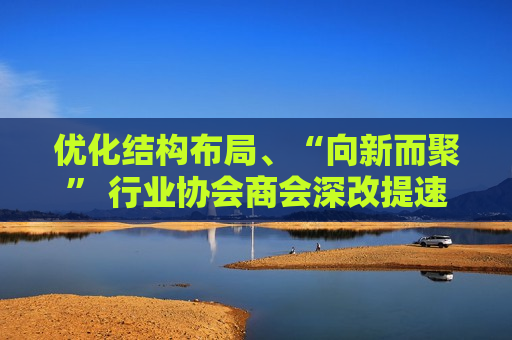 优化结构布局、“向新而聚” 行业协会商会深改提速