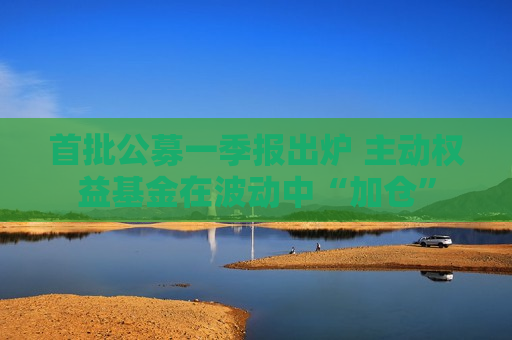 首批公募一季报出炉 主动权益基金在波动中“加仓”