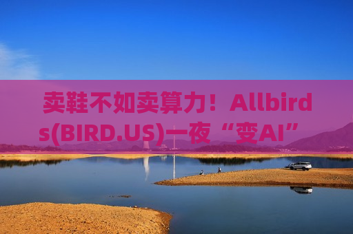 卖鞋不如卖算力！Allbirds(BIRD.US)一夜“变AI” 股价暴涨超400% 市场为何买单？