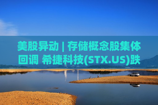 美股异动 | 存储概念股集体回调 希捷科技(STX.US)跌逾4%