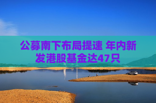 公募南下布局提速 年内新发港股基金达47只