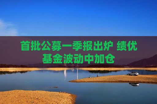 首批公募一季报出炉 绩优基金波动中加仓