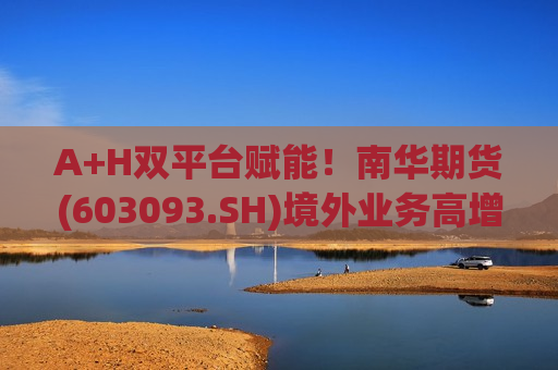 A+H双平台赋能！南华期货(603093.SH)境外业务高增66% 毛利率领跑行业