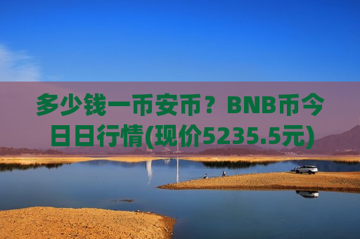 多少钱一币安币？BNB币今日日行情(现价5235.5元)