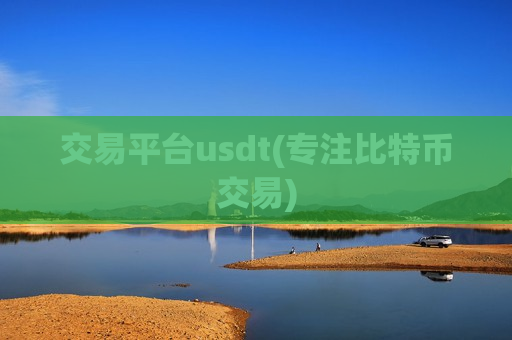 交易平台usdt(专注比特币交易)