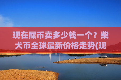 现在屎币卖多少钱一个？柴犬币全球最新价格走势(现价0.00019652元)