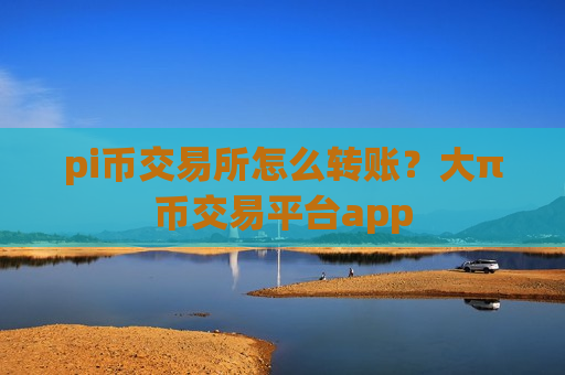 pi币交易所怎么转账？大π币交易平台app