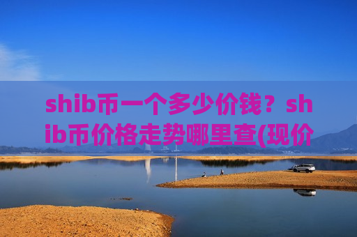 shib币一个多少价钱？shib币价格走势哪里查(现价0.00019666元)