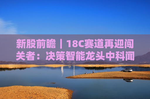 新股前瞻｜18C赛道再迎闯关者：决策智能龙头中科闻歌能否跨越盈利分水岭？
