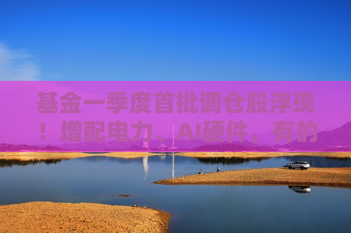 基金一季度首批调仓股浮现！增配电力、AI硬件，有的重仓中国动力、东方电气
