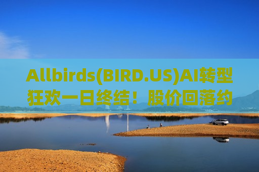 Allbirds(BIRD.US)AI转型狂欢一日终结！股价回落约30%