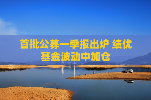首批公募一季报出炉 绩优基金波动中加仓