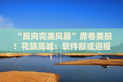“反向完美风暴”席卷美股！花旗高喊：软件股或迎报复性反弹，美股“由点及面”暴涨格局夏季成型