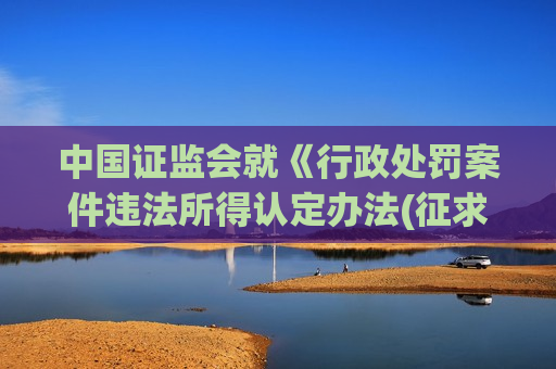 中国证监会就《行政处罚案件违法所得认定办法(征求意见稿)》公开征求意见