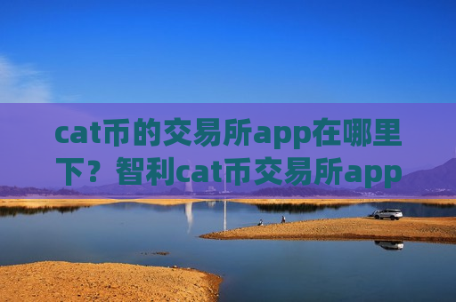 cat币的交易所app在哪里下？智利cat币交易所app下载