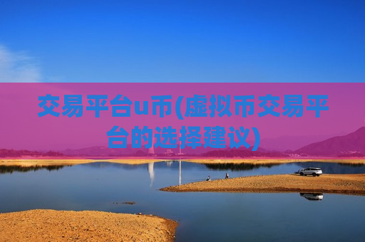 交易平台u币(虚拟币交易平台的选择建议)